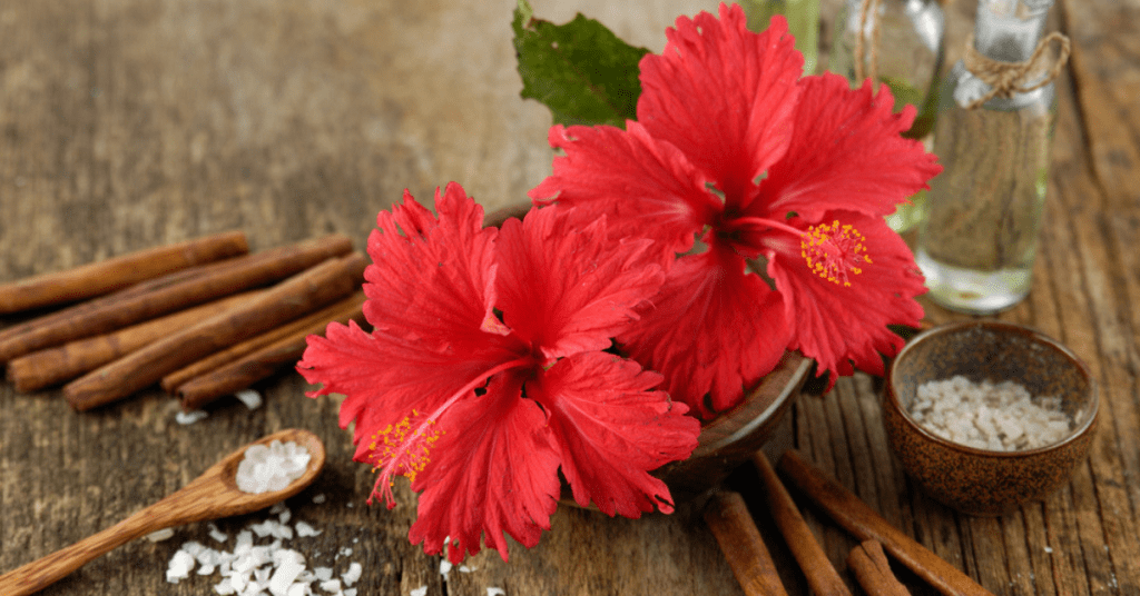 hibiscus-hair-oil-for hair growth-anahata